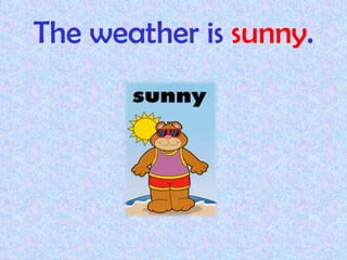 The weather is sunny.
 
