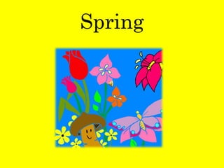 Spring
 