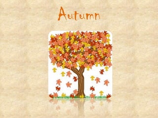 Autumn 