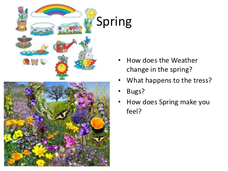 The four seasons
