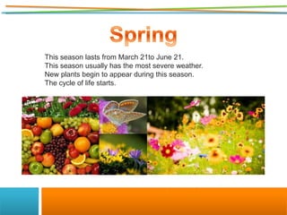 describe spring season
