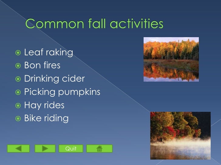 The Four Seasons Of Michigan