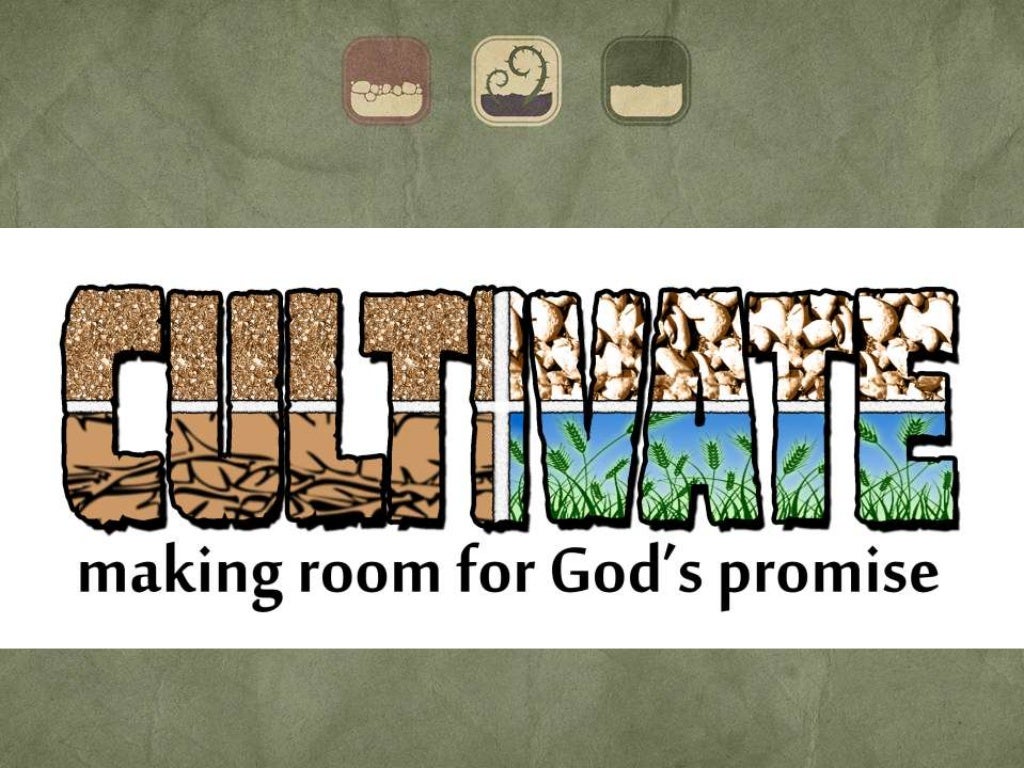 The Parable of the Four Soils from Mark 4:1-20