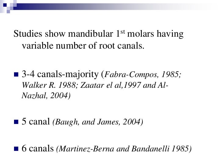 mandibular first molar