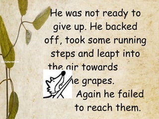 He was not ready to give up. He backed off, took some running steps and leapt into the air towards  the grapes.  Again he failed    to reach them. 