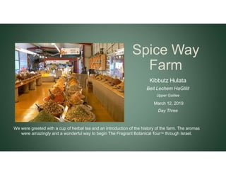 Spice Way
Farm
Kibbutz Hulata
Beit Lechem HaGlilit
Upper Galilee
March 12, 2019
Day Three
We were greeted with a cup of he...