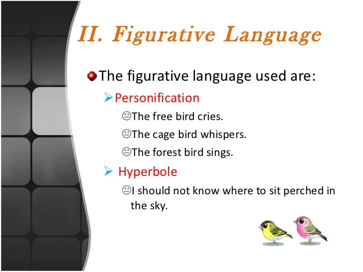 The free bird and the cage bird finale 2