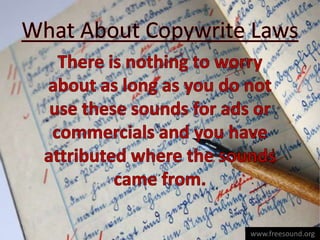 The Freesound Project