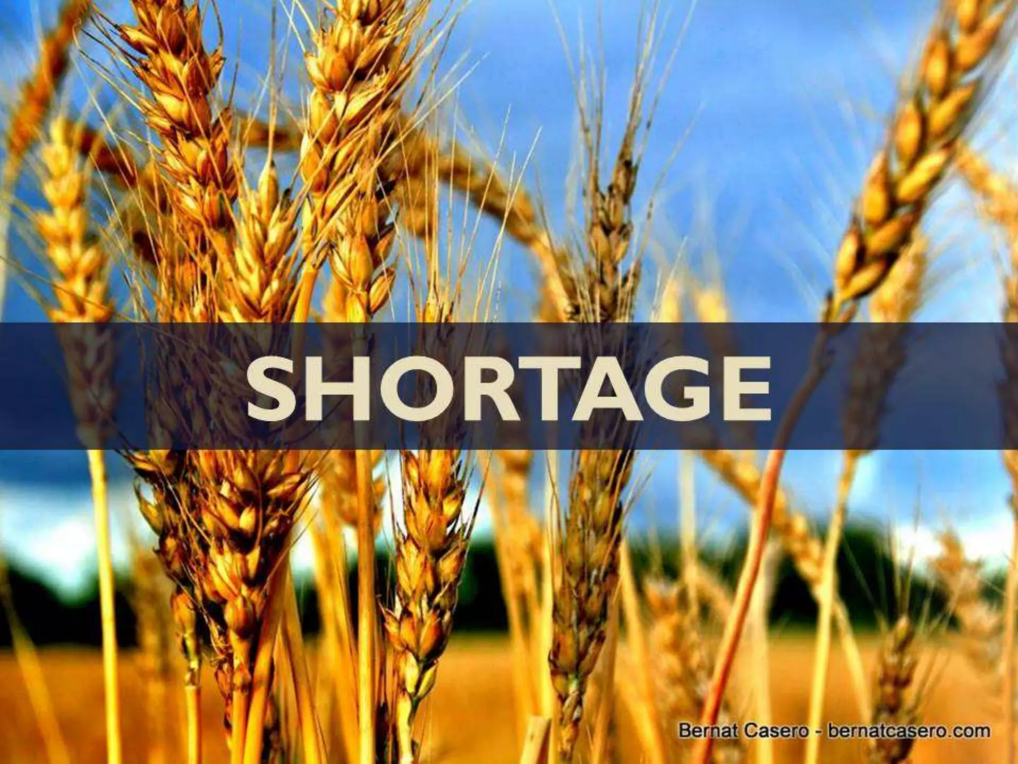 The French Revolution of 1789