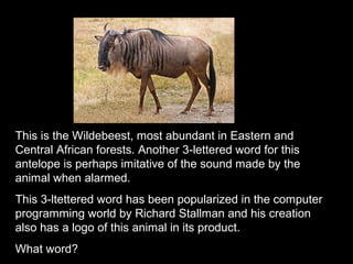 This is the Wildebeest, most abundant in Eastern and
Central African forests. Another 3-lettered word for this
antelope is perhaps imitative of the sound made by the
animal when alarmed.
This 3-ltettered word has been popularized in the computer
programming world by Richard Stallman and his creation
also has a logo of this animal in its product.
What word?
 