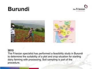Burundi
2015
The Friesian specialist has performed a feasibility study in Burundi
to determine the suitability of a plot and crop situation for starting
dairy farming with processing. Soil sampling is part of the
procedure.
 
