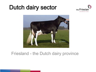 Friesland - the Dutch dairy province
Dutch dairy sector
 