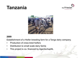 2009
Establishment of a Heifer breeding farm for a Tanga dairy company.
• Production of cross bred heifers
• Distribution to small scale dairy farms
• This project is co- financed by AgentschapNL
Tanzania
 