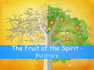 The Fruit of the Spirit -
PATIENCE
 