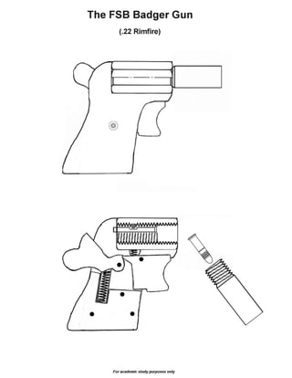 The FSB Badger Gun in .22 LR by Professor Parabellum