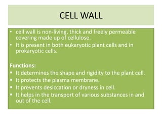 The funamental unit of life | PPTX