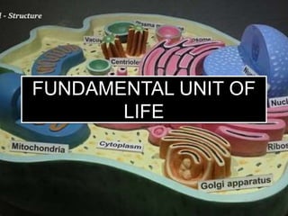 FUNDAMENTAL UNIT OF
LIFE
 