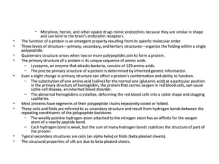 Morphine, heroin, and other opiate drugs mimic endorphins because they are similar in shape and can bind to the brain’s endorphin receptors.  The function of a protein is an emergent property resulting from its specific molecular order.  Three levels of structure—primary, secondary, and tertiary structures—organize the folding within a single polypeptide.  Quaternary structure arises when two or more polypeptides join to form a protein.  The primary structure of a protein is its unique sequence of amino acids.  Lysozyme, an enzyme that attacks bacteria, consists of 129 amino acids.  The precise primary structure of a protein is determined by inherited genetic information.  Even a slight change in primary structure can affect a protein’s conformation and ability to function.  The substitution of one amino acid (valine) for the normal one (glutamic acid) at a particular position in the primary structure of hemoglobin, the protein that carries oxygen in red blood cells, can cause sickle-cell disease, an inherited blood disorder.  The abnormal hemoglobins crystallize, deforming the red blood cells into a sickle shape and clogging capillaries.  Most proteins have segments of their polypeptide chains repeatedly coiled or folded.  These coils and folds are referred to as secondary structure and result from hydrogen bonds between the repeating constituents of the polypeptide backbone.  The weakly positive hydrogen atom attached to the nitrogen atom has an affinity for the oxygen atom of a nearby peptide bond.  Each hydrogen bond is weak, but the sum of many hydrogen bonds stabilizes the structure of part of the protein.  Typical secondary structures are coils (an alpha helix) or folds (beta pleated sheets).  The structural properties of silk are due to beta pleated sheets.  