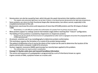 Denaturation can also be caused by heat, which disrupts the weak interactions that stabilize conformation.  This explains why extremely high fevers can be fatal. Proteins in the blood become denatured by the high body temperatures.  Some proteins can return to their functional shape after denaturation, but others cannot, especially in the crowded environment of the cell.  Biochemists now know the amino acid sequences of more than 875,000 proteins and the 3D shapes of about 7,000.  Nevertheless, it is still difficult to predict the conformation of a protein from its primary structure alone.  Most proteins appear to undergo several intermediate stages before reaching their “mature” configuration.  The folding of many proteins is assisted by chaperonins or chaperone proteins.  Chaperonins do not specify the final structure of a polypeptide but rather work to segregate and protect the polypeptide while it folds spontaneously.  At present, scientists use X-ray crystallography to determine protein conformation.  This technique requires the formation of a crystal of the protein being studied.  The pattern of diffraction of an X-ray by the atoms of the crystal can be used to determine the location of the atoms and to build a computer model of its structure.  Nuclear magnetic resonance (NMR) spectroscopy has recently been applied to this problem.  This method does not require protein crystallization.  Concept 5.5 Nucleic acids store and transmit hereditary information The amino acid sequence of a polypeptide is programmed by a unit of inheritance known as a gene.  A gene consists of DNA, a polymer known as a nucleic acid.  