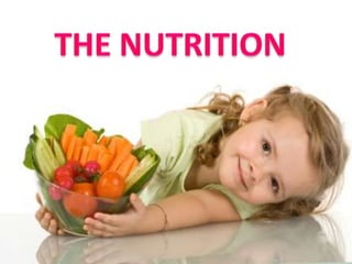 The function of nutrition power point