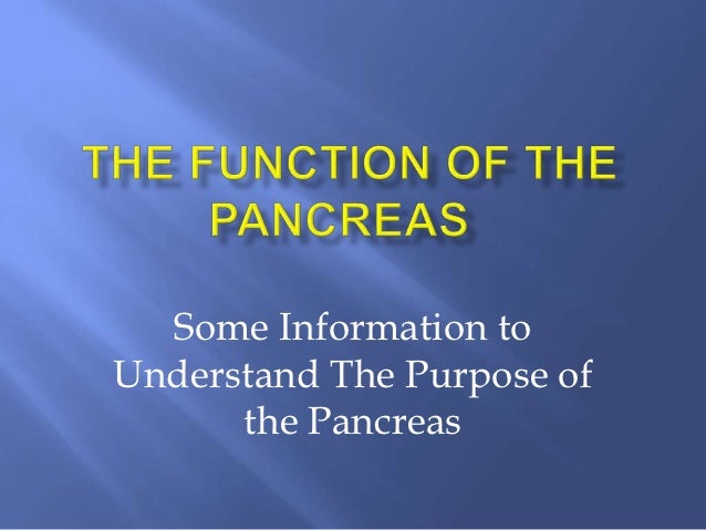 The Function Of The Pancreas The Function Of The Pancreas