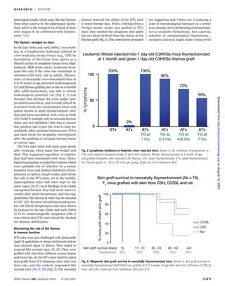 pharyngeal tonsils, which arise, like the thymus,
from what used to be the pharyngeal epithe-
lium, and it is the common lot of most of these
relic organs to be infiltrated with lympho-
cytes” (12).
The thymus: vestigial no more
In the late 1950s and early 1960s, I was work-
ing on a lymphocytic leukemia induced in
a low-leukemic strain of mice (e.g., C3H) by
inoculation of the Gross virus (given as a
filtered extract of neoplastic tissues from high-
leukemic AKR strain mice). Leukemia devel-
oped but only if the virus was inoculated in
newborn C3H mice, not in adults. Thymec-
tomy of neonatally virus-inoculated mice at
8 to 10 weeks of age prevented leukemogenesis
(13) and thymus grafting and, as late as 6 months
after adult thymectomy, was able to restore
leukemogenic potential (14) (Fig. 1). It was
thought that perhaps the virus might have
persisted somewhere, and it could indeed be
recovered from the nonleukemic brain and
spleen tissues of adult thymectomized mice
that had been inoculated with virus at birth
(15). Could it multiply only in neonatal thymus
tissue and not elsewhere? One way to answer
this question was to give the virus to mice im-
mediately after neonatal thymectomy (NTx)
and then check for neoplastic development
after the grafting of neonatal thymus tissue
at various ages.
The NTx mice fared well until some weeks
after weaning, when many lost weight and
died. This happened regardless of whether
they had been inoculated with virus. Histo-
logical examination revealed liver lesions, which
were probably due to infection by a mouse
hepatitis virus, and marked deficiency of lym-
phocytes in spleen, lymph nodes, and blood,
but only in the NTx mice, not in the healthy,
sham-operated mice that were kept in the
same cages (16, 17). Such findings were totally
unexpected because they had never been re-
corded after adult thymectomy, and this sug-
gested that “the thymus at birth may be essential
to life” (18). Because circulating lymphocytes,
but not thymic lymphocytes, had been shown
by Gowans in the late 1950s and early 1960s
(1) to be immunologically competent cells, it
was evident that NTx mice should be checked
for immune deficiencies.
Discovering the role of the thymus
in immune function
NTx mice were next challenged with Salmonella
typhi H agglutinins or sheep erythrocytes before
they showed signs of illness. They failed to
respond like normal mice (17, 19). They were
grafted with skin from different mouse strains
and from rats, yet the NTx mice failed to reject
skin grafts from H-2–disparate mice and even
from rats, and the controls responded like
normal mice (16, 17, 20) (Fig. 2). The neonatal
thymus restored the ability of the NTx mice
to reject foreign skin. When a thymus from a
foreign mouse strain was grafted to NTx
mice, they rejected the allogeneic skin grafts
but not those derived from the donor of the
thymus graft (Fig. 3). This observation prompted
my suggestion that “when one is inducing a
state of immunological tolerance in a newly-
born animal, one is performing a thymectomy,
not a complete thymectomy, but a partial,
selective or immunological thymectomy…
antigenic material might make contact with
Miller, Science 369, eaba2429 (2020) 31 July 2020 2 of 8
Fig. 1. Lymphoma incidence in leukemic virus–injected mice. Shown is the incidence of lymphomas in
C3H mice injected intraperitoneally at birth with leukemic filtrate, thymectomized at 1 month of age,
and grafted thereafter with neonatal C3H thymus. STx, sham thymectomized; ATx, adult thymectomized;
TG, thymus graft. n = 10 to 20 mice per group. [Data are from reference (14)]
Fig. 2. Allogeneic skin graft survival in neonatally thymectomized mice. Shown is skin graft survival in
neonatally thymectomized (AkXT6)F1 mice grafted at 4 to 5 weeks of age with skin from C3H mice, C57BL/6
mice, and rats. [Data are from references (16) and (17)]
RESEARCH | REVIEW
on
August
14,
2021
http://science.sciencemag.org/
Downloaded
from
 
