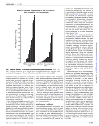 technique a large proportion of neonatally
thymectomized mice accepted H-2 incom-
patible grafts in contrast to partially thymec-
tomized mice” (34). In their follow-up studies,
this group provided data showing that their
NTx mice failed to reject H-2–disparate skin
grafts (35). Other researchers using thymec-
tomized Sprague-Dawley rats showed a reduc-
tion in the delayed hypersensitivity response
to bovine serum albumin and noted that “thy-
mectomy appeared to delay the onset and
slow the tempo of rejection of skin homografts
from Sherman strain rats” when checked
10 days after grafting (36).
How did the immunologic community react
to all these findings when most believed that
the thymus had become redundant during the
course of evolution? They could not fault the
data, but they could question the interpretation.
The most reasonable criticism was that mice
bred in converted horse stables (not specific-
pathogen free) must have been exposed to so
many intercurrent infections that the addi-
tional trauma of neonatal thymectomy or adult
thymectomy followed by irradiation precipi-
tated immune deficiency. This prompted a
repeat of certain experiments in germ-free tanks
(available at that time only at the National
Institutes of Health in Bethesda, Maryland).
Germ-free C57BL/6 mice were thymectomized
or sham operated soon after birth and grafted
with H-2–disparate BALB/c skin. None of the
mice became sick and none of the thymec-
tomized mice rejected the skin (37).
After the publication of this germ-free work,
the work from Good’s (35) and Waksman’s (36)
laboratories, and work on the athymic nude
mouse strain in 1970 (38), most in the immuno-
logical community accepted the notion of thy-
mus immune function.
Identification of T and B cells
Clues about the existence of two separate sub-
sets of lymphocytes became evident in experi-
ments performed in the 1960s in Australia and
in the United States. In 1962, Noel Warner and
Alex Szenberg in Frank MacFarlane Burnet’s
laboratory in Melbourne inoculated chickens
in ovo with testosterone to impair bursa devel-
opment. In most such chickens, antibody pro-
duction and delayed hypersensitivity were
reduced but foreign skin was rejected. A
few sick birds, in which lymphoid atrophy
had extended to the thymus, failed to reject
skin allografts (39). These results suggested
the existence of two separate lymphocyte groups,
one coming from the bursa and responsible
for antibody production, as had been shown
in 1956 (40), and the other from the thymus
and involved in cell-mediated immunity. Be-
cause mammals do not have a bursa, Burnet
surmised that “in mammals it is highly prob-
able that the thymus also carries out the
function performed by the bursa of Fabricius
in the chicken” (41).
Max Cooper, then working in Robert Good’s
laboratory (42), surgically thymectomized or
bursectomized chickens and used total body
irradiation to remove any immune cells that
may have arisen before hatching. The results
were clear: The bursectomized chickens failed
to produce antibodies, whereas the thymec-
tomized birds could do so but were deficient
in allograft rejection. These results implied but
did not conclusively identify two distinct lym-
phocyte populations. Claman and colleagues
in Denver showed that irradiated mice receiv-
ing either bone marrow cells or thymus cells
alone did not produce a substantial antisheep
erythrocyte antibody response, but mice re-
ceiving both sets of syngeneic cells together
did produce some antibody. Because no mark-
ers were available, the origin of the antibody-
forming cells (AFCs), whether from the thymus
or the bone marrow, could not be identi-
fied (43).
Quantitative studies on the recirculating lym-
phocyte pool of NTx and sham-operated mice
were performed by our group at the Walter and
Eliza Hall Institute of Medical Research in
Melbourne in 1966–1967. This was done by
cannulating the mouse thoracic duct for a
period of 48 hours, after which no further
lymphocytes could be obtained. The cumulative
total number of such cells in 6-week-old NTx
and sham-operated control mice differed mark-
edly: close to 108
cells in controls but slightly
more than 106
cells in NTx mice (44). Injection
of thymus or thoracic duct lymphocytes from
normal (CBAXC57BL)F1 mice into NTx CBA
mice challenged with sheep erythrocytes (sheep
red blood cells, or SRBCs) enabled these to
produce a normal anti-SRBC AFC response.
Anti-CBA serum, which is directed against both
the donor and recipient cell types, reduced the
number of AFCs by 89 to 97%, as expected, but
unexpectedly, anti-C57BL/6 serum (directed
against the donor cell type) caused an in-
significant reduction (amounting to 0 to 17%
in experiments repeated 11 times) (6% in Fig.
5A). These findings showed that the AFC pre-
cursors arose from the immunoincompetent
NTx host, not from the injected thoracic duct
cells (45).
Miller, Science 369, eaba2429 (2020) 31 July 2020 4 of 8
Fig. 4. Induction of tumors in carcinogen-treated neonatally thymectomized mice. Shown is the
effect of neonatal thymectomy on the induction of skin tumors 160 days after first application of the
carcinogen 3-4-benzopyrene on the skin of 5-week-old mice. [Data are from reference (29)]
RESEARCH | REVIEW
on
August
14,
2021
http://science.sciencemag.org/
Downloaded
from
 