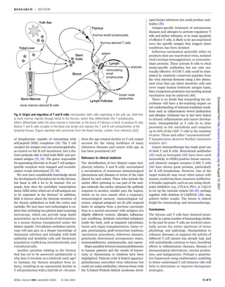 of lymphocytes capable of interacting with
self-peptide–MHC complexes (74). The T cell
receptor for antigen was not immunoglobulin,
as existed on the B cell membrane, but a dis-
tinct molecule able to bind both MHC and pro-
cessed antigen (75, 76). The genes responsible
for generating diversity in B and T cell antigen-
specific receptors were mapped and recombi-
nation events determined (77, 78).
We now have considerable knowledge about
the development of lymphocytes in the thymus,
but there is still a lot to be learned. For ex-
ample, how does the medullary transcription
factor AIRE select which set of self-antigens are
to be expressed in the thymus? In addition,
little is known about the intricate structure of
the thymic epithelium in both the cortex and
medulla. We now have new technologies to ex-
plore this, including two-photon laser-scanning
microscopy, which can provide large depth
penetration, up to hundreds of micrometers,
in a mouse thymus transplanted under the
kidney capsule. Two-photon excitation micros-
copy will also give us a deeper knowledge of
thymocyte selection and interplay with both
epithelial and dendritic cells and thymocyte
population trafficking intrathymically and
extrathymically.
Another question relating to the thymus
that has yet to be answered satisfactorily is
why does it involute at a relatively early age?
In humans, the thymus atrophies from in-
fancy, resulting in an exponential decline in
T cell production with a half-life of ∼16 years.
Does the age-related decline in T cell output
account for the rising incidence of many
infectious diseases and cancer with age, as
has been postulated (4)?
Relevance to clinical medicine
The identification of two distinct major lym-
phocyte subsets, T and B cells, necessitated
a reevaluation of numerous immunological
phenomena and diseases in terms of the roles
played by each subset. These roles include the
carrier effect (priming to one part of the anti-
gen molecule, the carrier, enhances the antibody
response to another, smaller part, the hapten,
which on its own cannot elicit a response),
immunological memory, immunological tol-
erance, original antigenic sin (B cells respond
faster to antigens from a previous encounter
than to a second encounter with antigens of a
slightly different version), allergies, inflamma-
tory conditions, dysbiosis (microbial imbalance
inside the body, such as impaired microbiota),
tissue and organ transplantation, tissue re-
pair, preeclampsia, graft-versus-host reactions,
vaccination procedures, infectious diseases,
genetically determined unresponsive states,
immunodeficiency, autoimmunity, and cancer.
Major parallels between immunodeficiencies
in human patients and the results of bursec-
tomy or thymectomy in chickens have been
highlighted. Patients with X-linked agamma-
globulinemia controlled virus infections but
could not make antibodies, whereas those with
the X-linked Wiskott-Aldrich syndrome devel-
oped herpes infections but could produce anti-
bodies (79).
Antigen-specific treatment of autoimmune
diseases and allergies to activate regulatory T
cells and induce tolerance, or to cause apoptosis
of effector T cells, is likely to be accomplished
once the specific antigen that triggers these
conditions has been isolated.
Influenza vaccination generally relies on
products that use inactivated virus, isolated
viral envelope hemagglutinin, or neuramin-
idase proteins. These activate B cells to elicit
strain-specific antibodies but are only sea-
sonally effective. If CD8 T cells could be stim-
ulated by relatively conserved peptides from
the virus internal elements using a live attenu-
ated virus that can infect dendritic cells and
cover major human leukocyte antigen types,
then a long-term protection not needing annual
vaccination may be achieved (80).
There is no doubt that researching the mi-
crobiome will have a far-reaching impact on
our understanding of immune-mediated condi-
tions such as inflammatory bowel dysfunction
and allergies. Dysbiosis has in fact been linked
to chronic inflammation and cancer develop-
ment. Intraepithelial gd T cells lie in close
proximity to the microbiota and comprise
up to 50% of the CD3+
T cells in the intestine
of mice. These and other “unconventional”
T lymphocytes deserve further intensive
studies (81).
Cancer immunotherapy has made good use
of both T and B cells. Monoclonal antibodies
(82) such as herceptin (83) have been used
successfully in HER2-positive breast cancers,
and chimeric antigen receptor (CAR) T cells
(84) have shown great promise, particularly
for B cell lymphomas. However, loss of the
target molecule may occur when tumor cells
mutate, rendering these measures ineffective.
A broader approach, such as one using check-
point inhibitors (e.g., CTLA-4, PD-1, or LAG-3)
to rev up the immune system (85–87), perhaps
together with deletion of CARMAI1 (88), may
achieve better results. The future is indeed
bright for immunology and immunotherapy.
Conclusions
The thymus and T cells have featured prom-
inently in a great number of immunology studies
in the past 50 years. T cells are involved essen-
tially across the entire spectrum of tissue
physiology and pathology. Manipulation to
enhance, decrease, or suppress the activity of
different T cell subsets has already had, and
will undoubtedly continue to have, beneficial
effects in inflammatory diseases, diseases of
immunological aberrations, vaccine produc-
tion, and malignancies. Perhaps a quantita-
tive framework using mathematics modeling
to better understand T cell behavior (89) will
help to determine or improve therapeutic
strategies.
Miller, Science 369, eaba2429 (2020) 31 July 2020 6 of 8
Fig. 6. Origin and migration of T and B cells. Hemopoietic stem cells originating in the yolk sac, fetal liver,
or bone marrow migrate through blood to the thymus, where they differentiate into T lymphocytes.
Others differentiate within the bone marrow in mammals, or the bursa of Fabricius in birds, to produce B cells.
Mature T and B cells circulate in the blood and lymph and colonize the T and B cell compartments of the
lymphoid tissues. [Figure reprinted with permission from the Royal Society, London, from reference (52)]
RESEARCH | REVIEW
on
August
14,
2021
http://science.sciencemag.org/
Downloaded
from
 