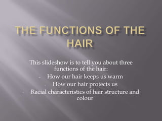 The Functions of the Hair This slideshow is to tell you about three functions of the hair: ,[object Object]