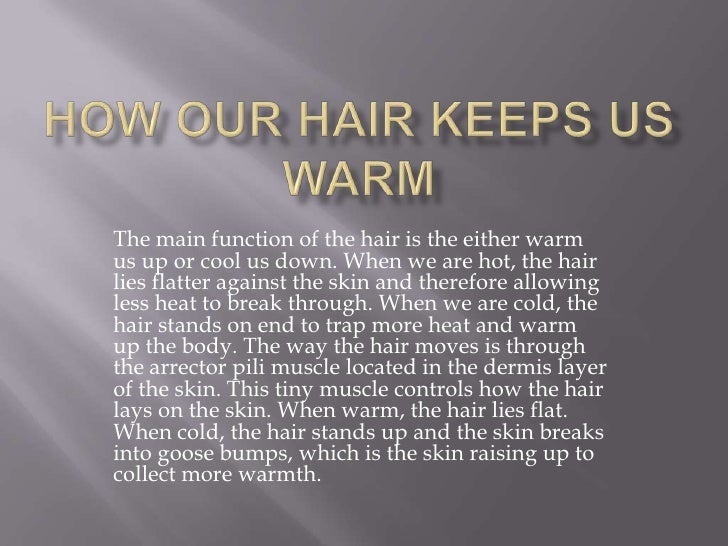 The Functions of the Hair