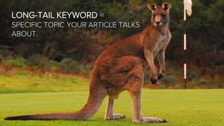 •  Long-tail keywords
•  Recent industry and industry-related news
•  Common questions from your customers
•  Respond to b...