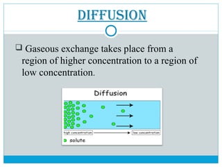 DIFFUsIon
 Gaseous exchange takes place from a
region of higher concentration to a region of
low concentration.
 