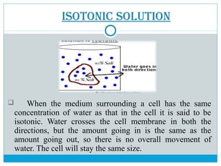 IsotonIC soLUtIon
 When the medium surrounding a cell has the same
concentration of water as that in the cell it is said to be
isotonic. Water crosses the cell membrane in both the
directions, but the amount going in is the same as the
amount going out, so there is no overall movement of
water. The cell will stay the same size.
 