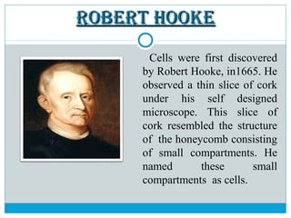 ROBERT HOOKEROBERT HOOKE
Cells were first discovered
by Robert Hooke, in1665. He
observed a thin slice of cork
under his self designed
microscope. This slice of
cork resembled the structure
of the honeycomb consisting
of small compartments. He
named these small
compartments as cells.
 