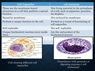 The fundamental unit of life | PPTX