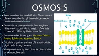 OSMOSIS
• Water also obeys the law of diffusion. The movement
of water molecules through the semi – permeable
membrane is called Osmosis.
• Osmosis is the passage of water from a region of
higher water concentration to a region of low water
concentration till the equilibrium is reached.
• Osmosis can be of three types : Hypotonic Solution,
Isotonic Solution and Hypertonic Solution.
• Unicellular organisms and most of the plant cells tend
to gain water through osmosis.
• Absorption of water by the roots of the plants is also
an example of osmosis.
 