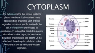 CYTOPLASM
The Cytoplasm is the fluid content inside the
plasma membrane. It also contains many
specialized cell organelles. Each of these
organelles performs a specific function for the
cell. Cell Organelles are enclosed by
membranes. In prokaryotes, beside the absence
of a defined nuclear region, the membrane-
bound cell organelles are also absent. On the
other hand, the eukaryotic cells have nuclear
membrane as well as membrane-enclosed
organelles.
 