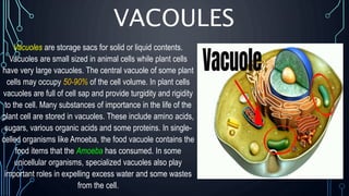 VACOULES
Vacuoles are storage sacs for solid or liquid contents.
Vacuoles are small sized in animal cells while plant cells
have very large vacuoles. The central vacuole of some plant
cells may occupy 50-90% of the cell volume. In plant cells
vacuoles are full of cell sap and provide turgidity and rigidity
to the cell. Many substances of importance in the life of the
plant cell are stored in vacuoles. These include amino acids,
sugars, various organic acids and some proteins. In single-
celled organisms like Amoeba, the food vacuole contains the
food items that the Amoeba has consumed. In some
unicellular organisms, specialized vacuoles also play
important roles in expelling excess water and some wastes
from the cell.
 