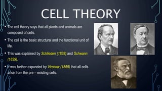 CELL THEORY
• The cell theory says that all plants and animals are
composed of cells.
• The cell is the basic structural and the functional unit of
life.
• This was explained by Schlieden (1838) and Schwann
(1839).
• It was further expanded by Virchow (1855) that all cells
arise from the pre – existing cells.
 