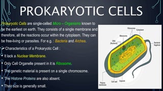 PROKARYOTIC CELLS
Prokaryotic Cells are single-celled Micro – Organisms known to
be the earliest on earth. They consists of a single membrane and
therefore, all the reactions occur within the cytoplasm. They can
be free-living or parasites. For e.g. : Bacteria and Archea.
Characteristics of a Prokaryotic Cell :
• It lack a Nuclear Membrane.
• Only Cell Organelle present in it is Ribosome.
• The genetic material is present on a single chromosome.
• The Histone Proteins are also absent.
• Their size is generally small.
 