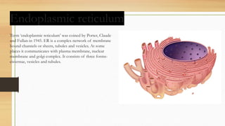 THE FUNDAMENTAL UNIT OF LIFE.pptx jsksmmsmaa | PPTX