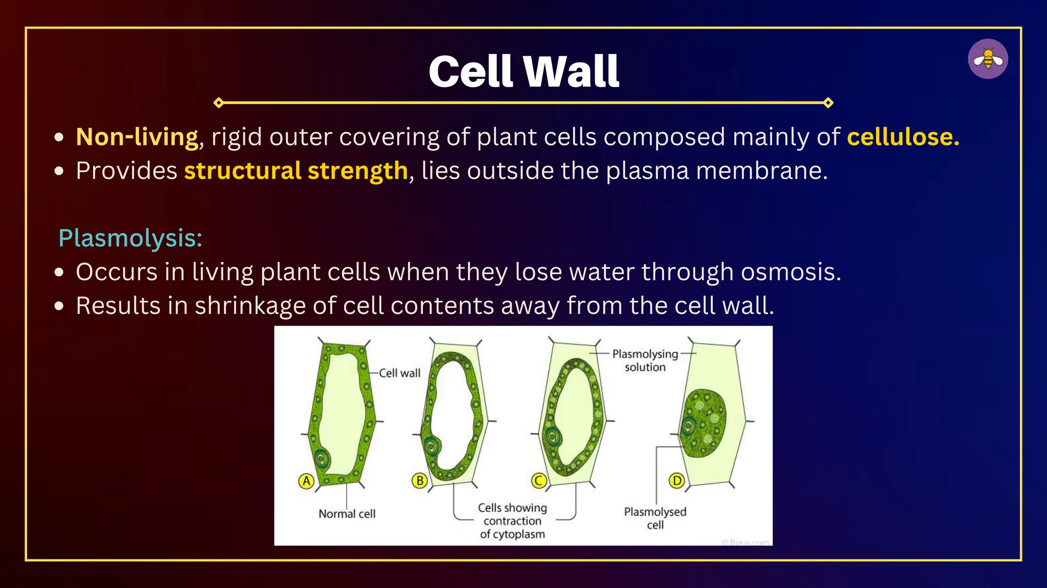 Class 9 The Fundamental Unit of Life.pdf