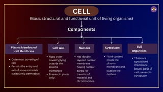 Components
CELL
(Basic structural and functional unit of living organisms)
Plasma Membrane/
cell Membrane
Outermost covering of
cell
Permits the entry and
exit of some materials
(selectively permeable)
Cell Wall Nucleus Cell
Organelles
Rigid outer
covering lying
outside the
plasma
membrane
Present in plants
only.
Has double
layered nuclear
membrane
having nuclear
pores for
transfer of
material and
chromosomes.
Cytoplasm
Fluid content
inside the
plasma
membrane and
outside the
nucleus
These are
specialised
membrane-
bound parts of
cell present in
cytoplasm
 