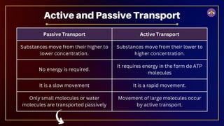 Passive Transport Active Transport
Substances move from their higher to
lower concentration.
Substances move from their lower to
higher concentration.
No energy is required.
It requires energy in the form de ATP
molecules
It is a slow movement It is a rapid movement.
Only small molecules or water
molecules are transported passively
Movement of large molecules occur
by active transport.
Active and Passive Transport
 