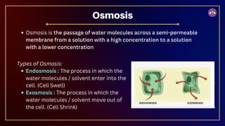 Osmosis is the passage of water molecules across a semi-permeable
membrane from a solution with a high concentration to a solution
with a lower concentration
Osmosis
Types of Osmosis:
Endosmosis : The process in which the
water molecules / solvent enter into the
cell. (Cell Swell)
Exosmosis : The process in which the
water molecules / solvent move out of
the cell. (Cell Shrink)
 