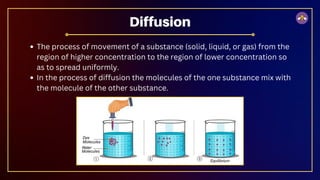Class 9 The Fundamental Unit of Life.pdf