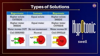 Types of Solutions
swell
 