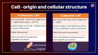 Cell - origin and cellular structure
flagella
ribosomes
 