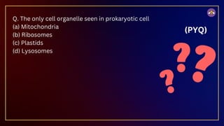 Q. The only cell organelle seen in prokaryotic cell
(a) Mitochondria
(b) Ribosomes
(c) Plastids
(d) Lysosomes
(PYQ)
 