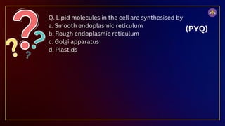 Q. Lipid molecules in the cell are synthesised by
a. Smooth endoplasmic reticulum
b. Rough endoplasmic reticulum
c. Golgi apparatus
d. Plastids
(PYQ)
 